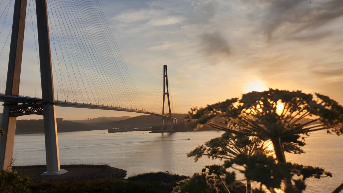     Морские млекопитающие встретили людей в одной из приморских бухт. Белухи разглядывали гостей несколько минут.