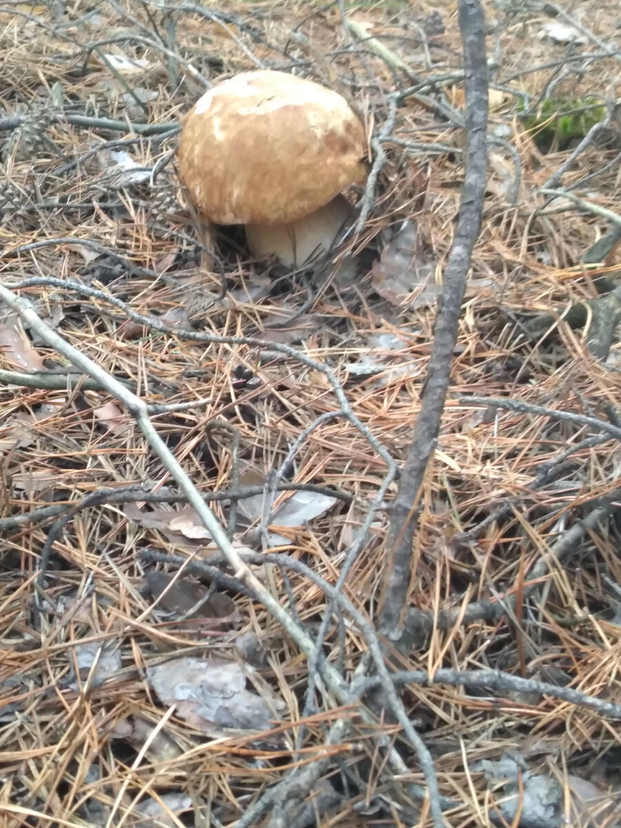 И это мой красавчик!