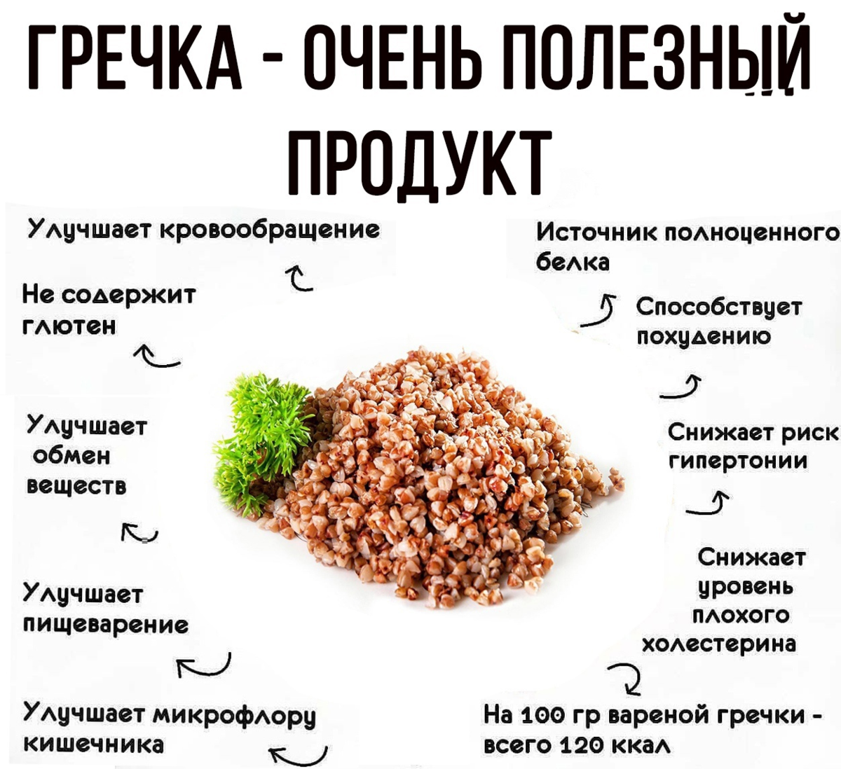 Что полезного в гречке. Чем полезна гречка. Полезные элементы в гречке. Полезные вещества в гречке.