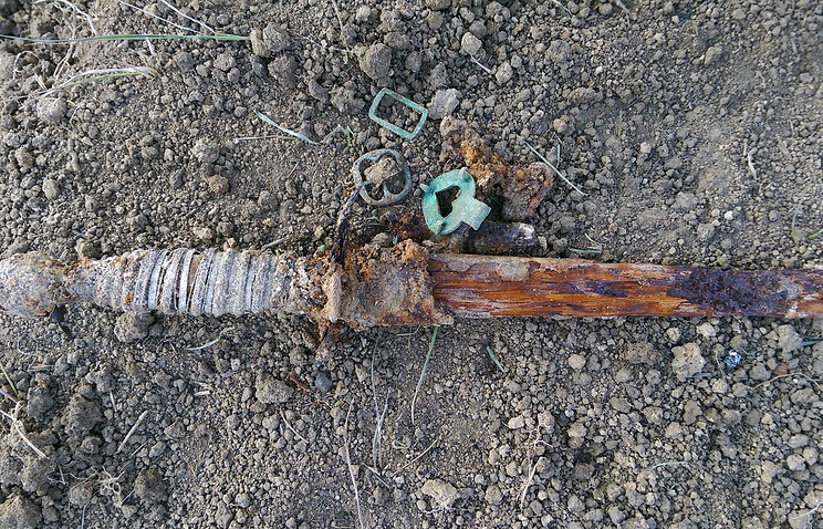 Артефакты, найденные во время раскопок © "Центральный музей Тавриды"