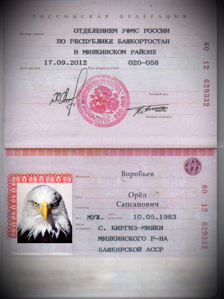 Паспорт 2008 года образец