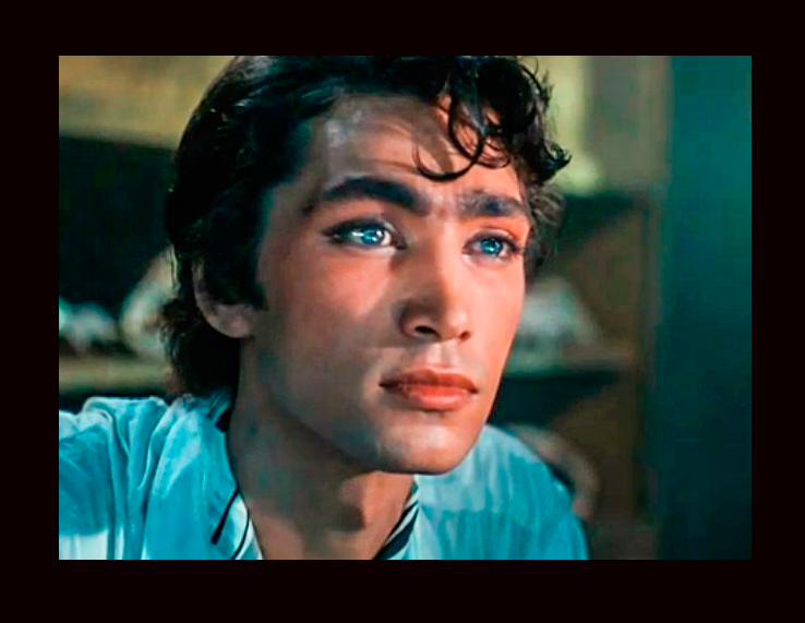 Владимир Коренев