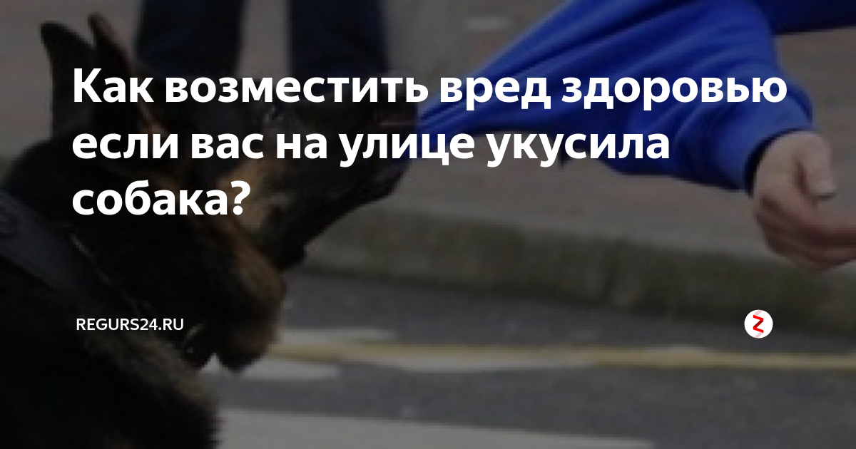 Заявление о нападении собаки в полицию образец. Какая компенсация за укус собаки. Моральный вред за укус собаки. Заявление об укусе бездомной собаки в администрацию. Компенсация морального вреда за укус собаки.