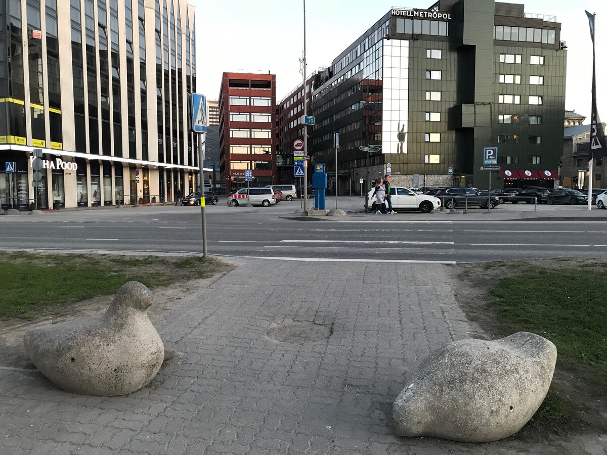 А вот эти птицы встречаются преимущественно в центре города. Их цель - не дать машинам свернуть на пешеходные дорожки. То есть даже если захотят проехать - не получится, "птички" любой  hummer остановят - там, где особо критично, таких птиц бывает больше, то есть прямо стаей ставят. 