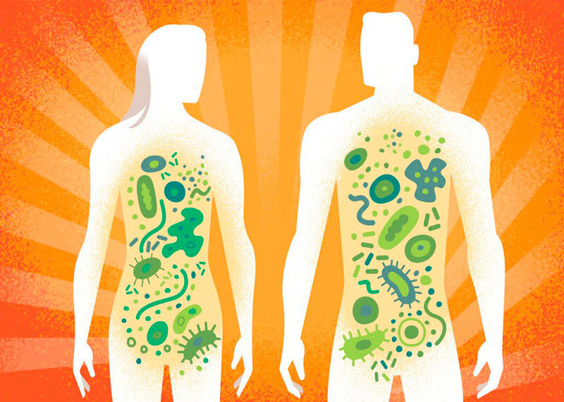 Фото: просторы интернета