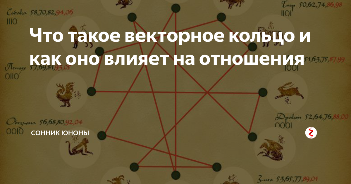 Векторные отношения. Векторные отношения по годам. Векторное кольцо знаков. Гороскоп векторное кольцо