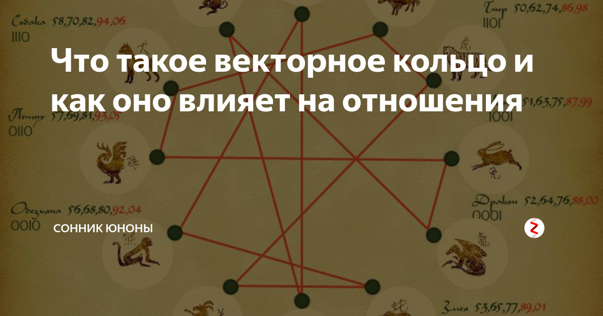 40 сонников юноны. Векторные отношения. Векторные отношения по годам. Векторное кольцо знаков. Гороскоп векторное кольцо.