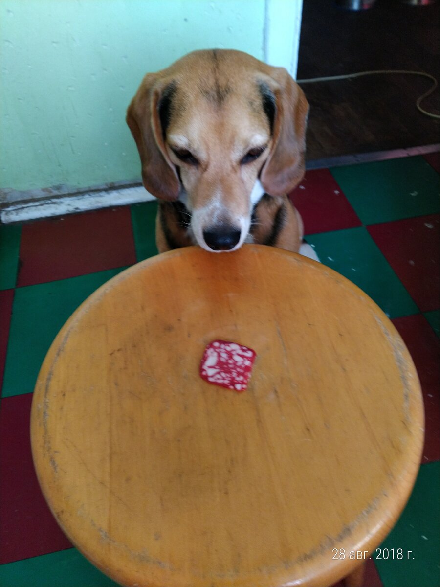 Это мне  ?  можно?  Как так нельзя и что такое ФУ.