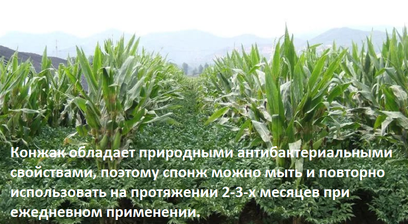 Фото с общедоступного ресурса Яндекс-картинки