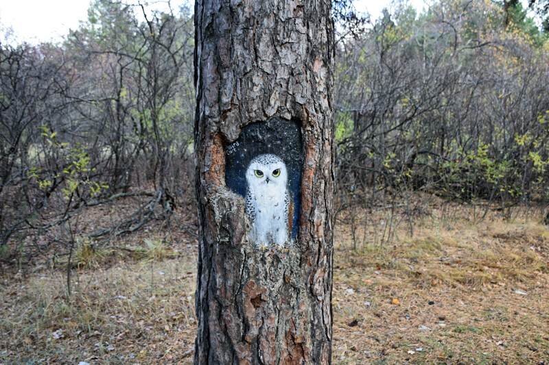 Челябинские урбанисты добрались и до парка Гагарина, автор картины на дереве Mira Clart.