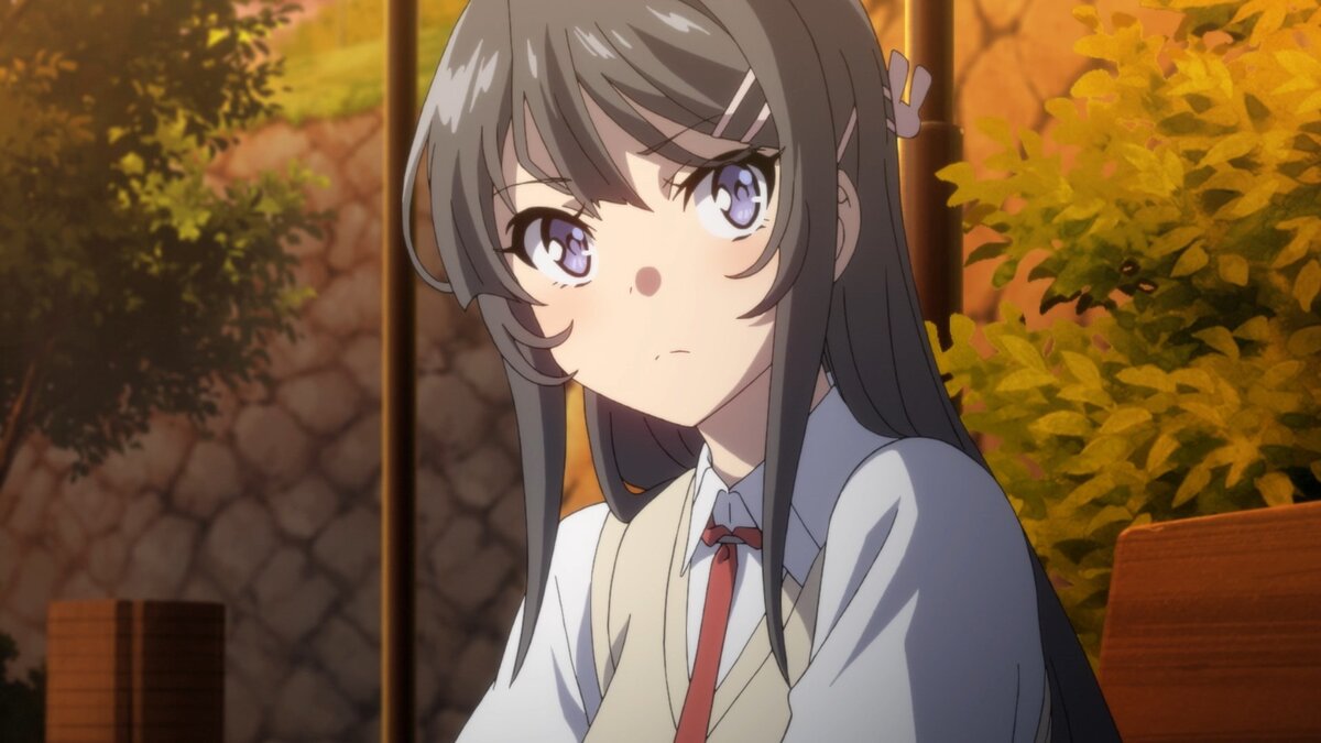 Seishun Buta Yarou wa Bunny Girl Senpai no Yume wo Minai 09 | аниме с  оленем | Дзен