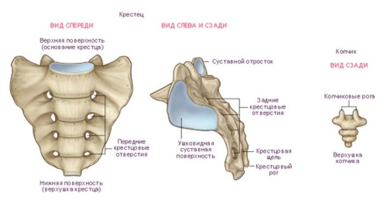 Источник фото - http://xexe.club