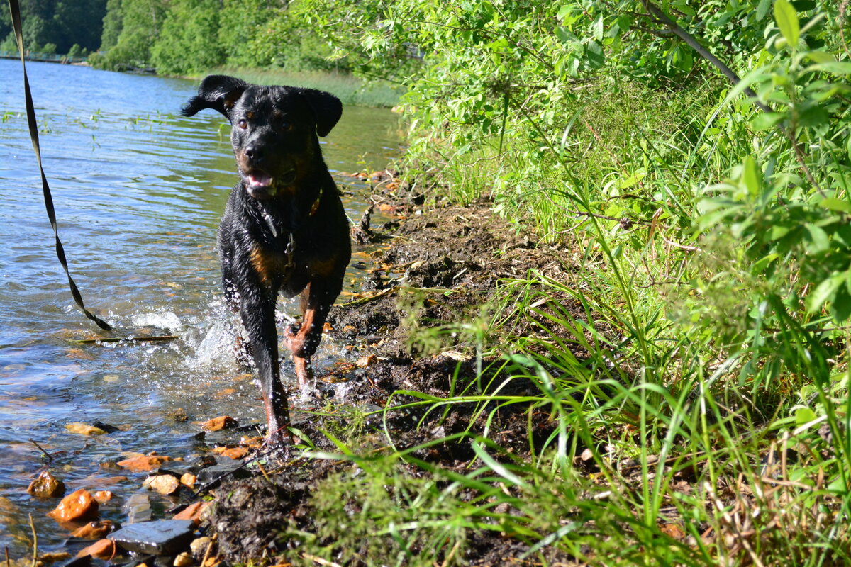 На природе всегда получаются "сочные" фотографии
