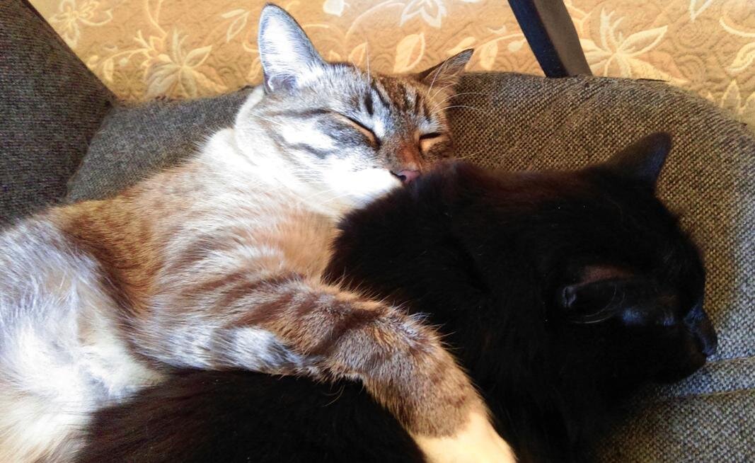 - Не боись, я держу, не свалишься