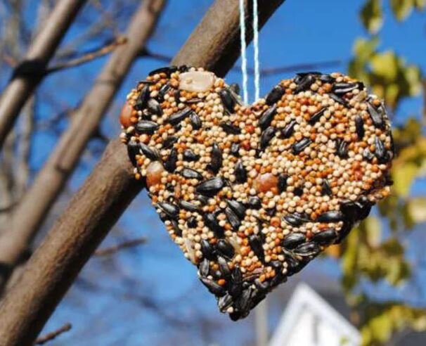 Фото: Яндекс.картинки