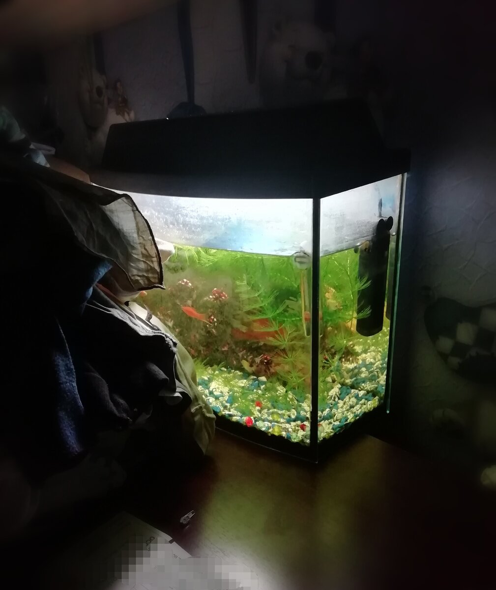 У меня, например, это обмелевший аквариум с несчастными рыбками, которые продираются  через заросли водорослей и гора неглаженого белья