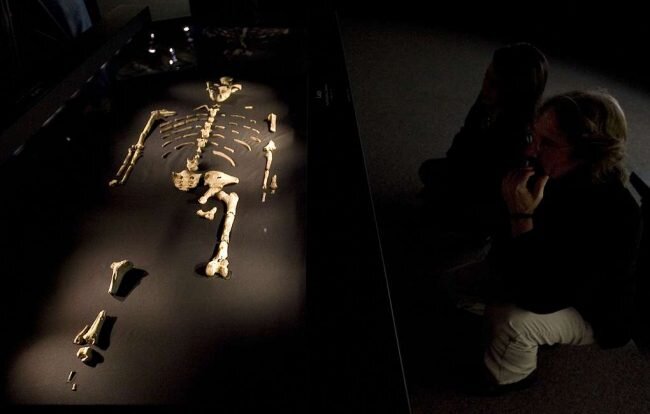 Останки Люси. Фото: nat-geo