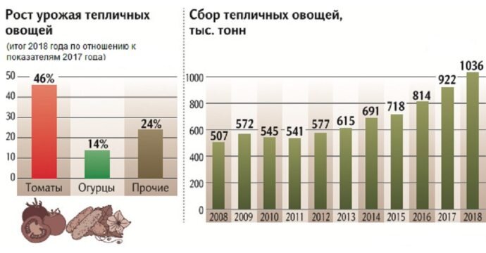 Источник: sdelanounas.ru