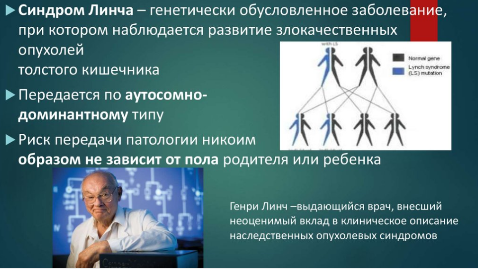 Источник фото: ppt-online.org