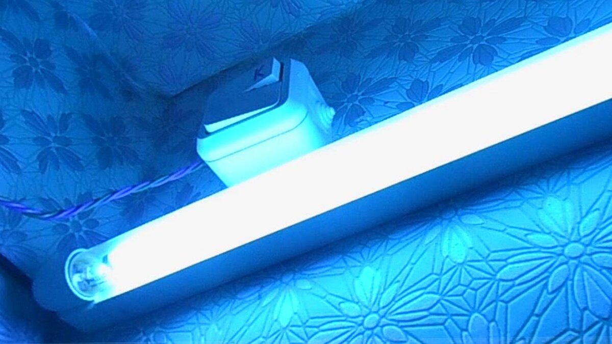 помещение из сети интернет и в свободном досутпе