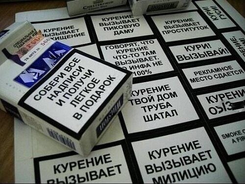 Фото с сайта https://kolyaseg.livejournal.com