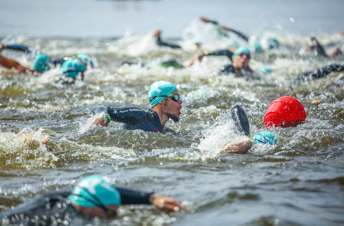 Плавание на открытой воде олимпиада