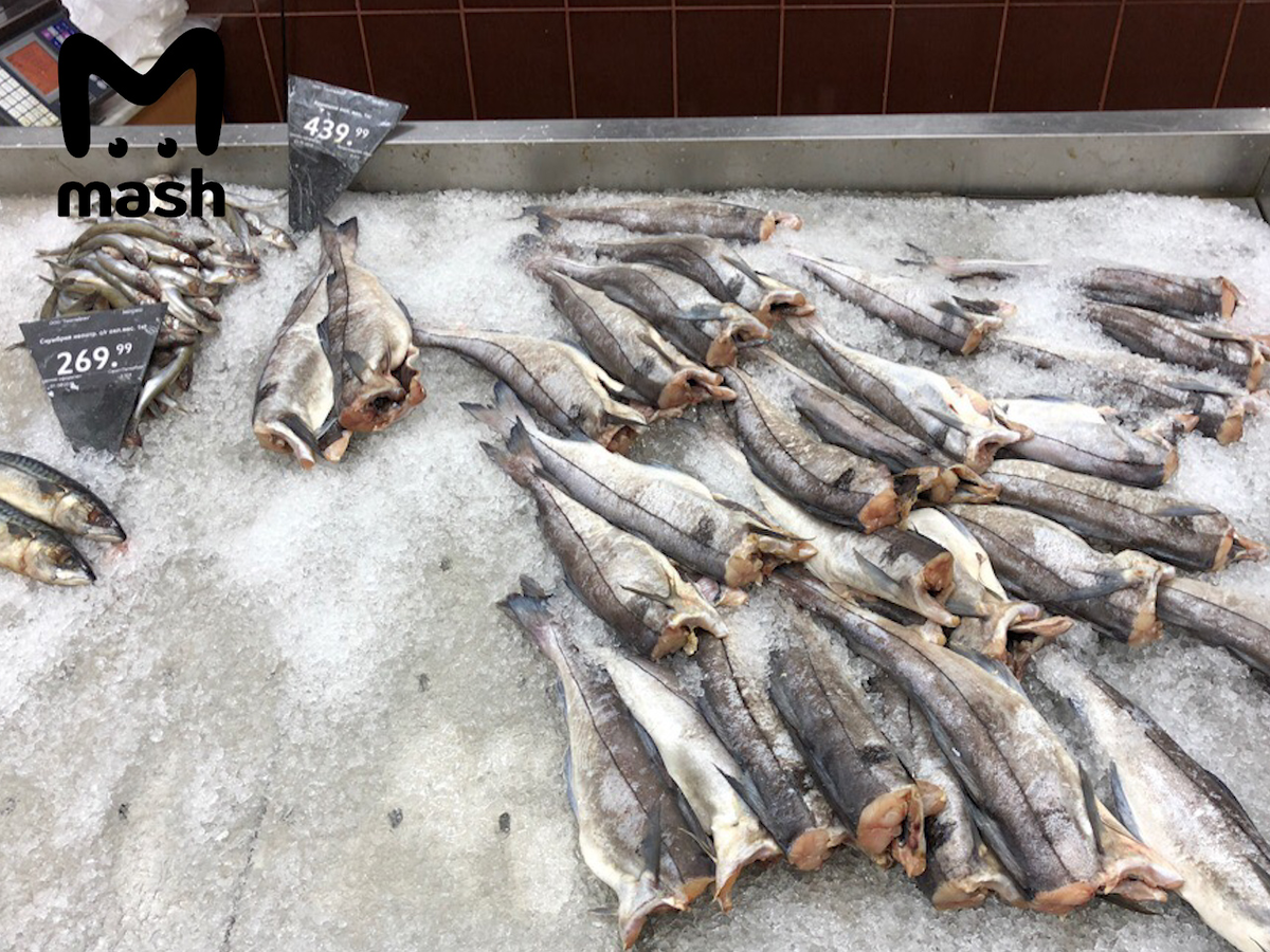 Продажа рыбы на мурманской ярмарке