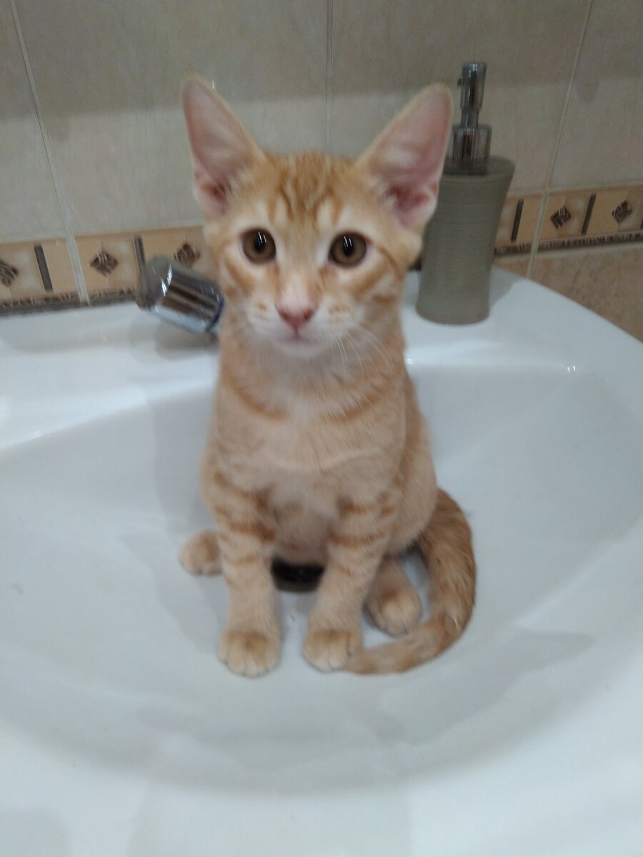 Да, тут сыро и одиноко! Но я обиделся и к вам не пойду! (фото автора)