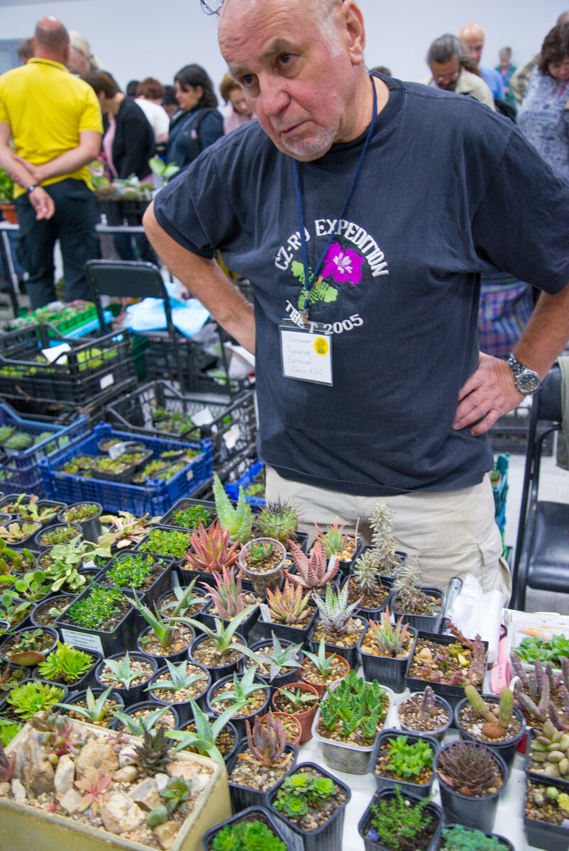 Кактусы в оби москва. Notocactus rauschii. Кактус фест москва. Обрегония денегри кактус. Кактус фест 2023 вднх участники.