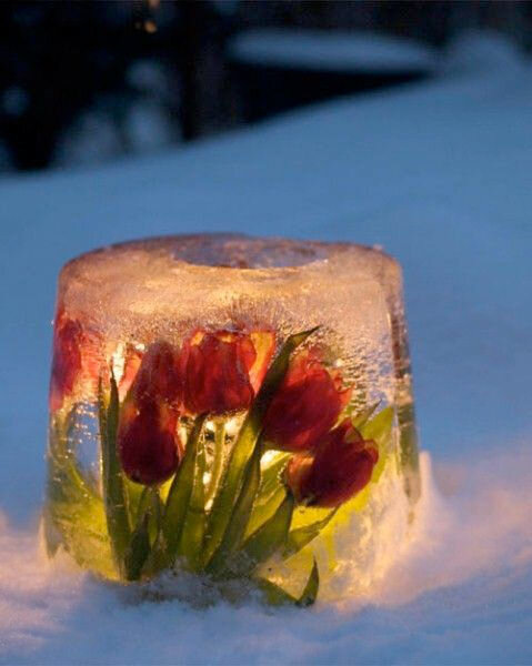 Если поставить в дырку свечу вместо вина - получается фантастический светильник