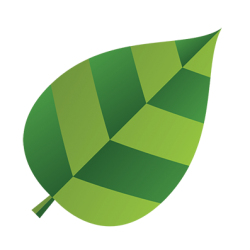 Источник фото i.otzovik.com.