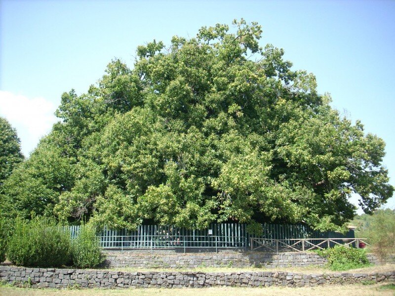 Источник изображения https://vipgeo.ru/uploads/content_image/large/54743.jpg