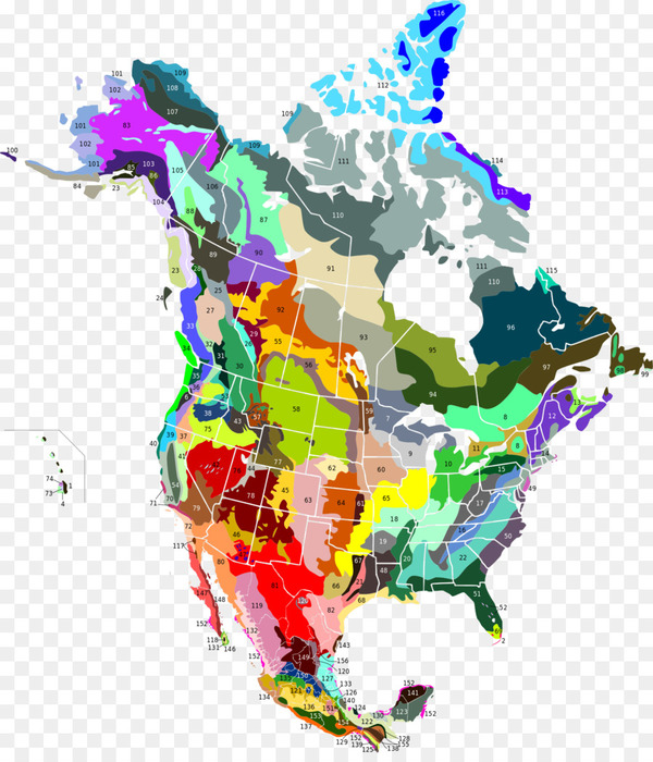 https://img2.freepng.ru/20180606/cjc/kisspng-united-states-ecoregion-south-florida-rocklands-tr-5b1879aa806b32.991756781528330666526.jpg