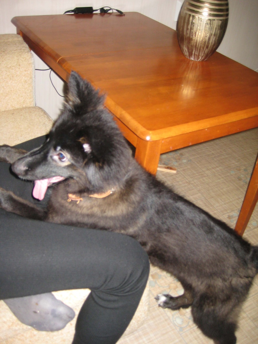 Сьюзи спустя 3 месяца