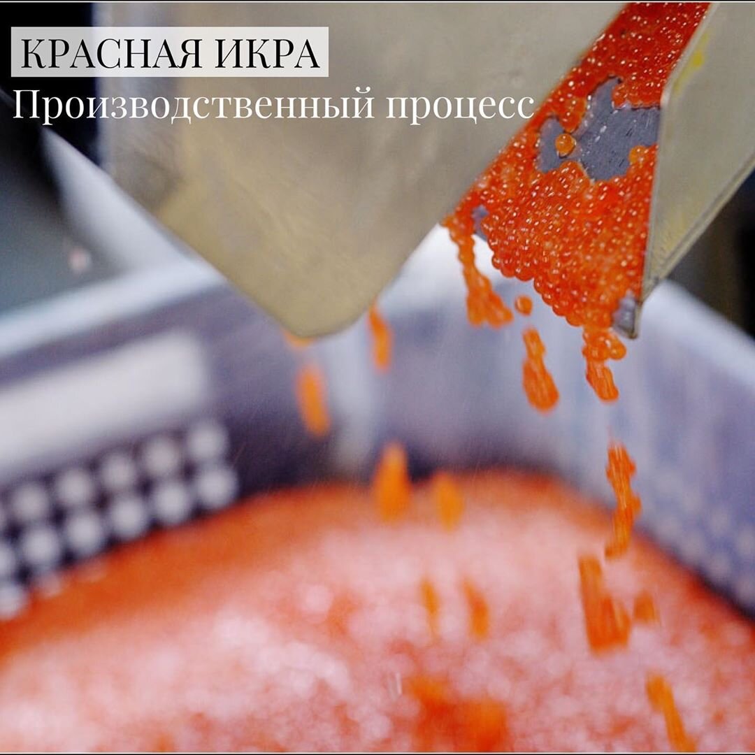 Как производится красная икра. Пошагово с картинками. | fish2o ...