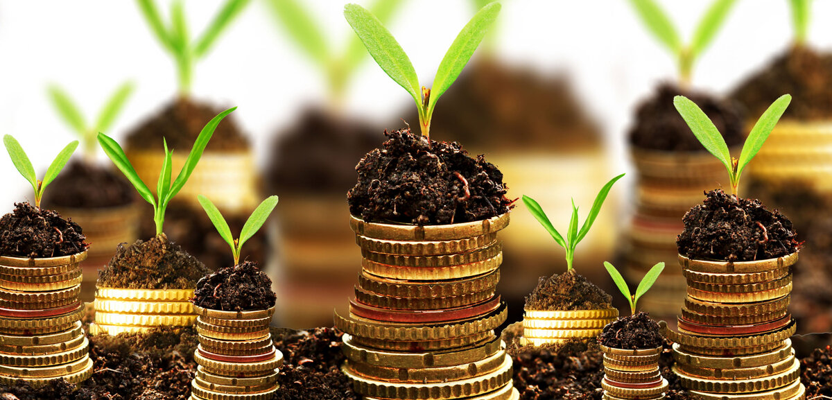 Как создать эгрегор финансового благополучия?