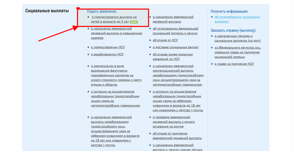 Подать заявление на сайте Пенсионного Фонда РФ