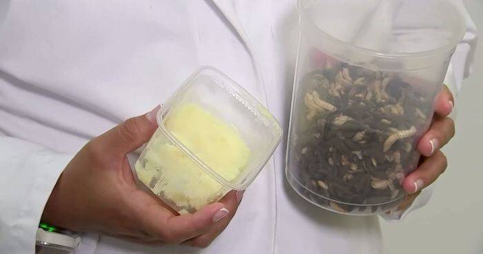 Источник изображения: mentalfloss.com