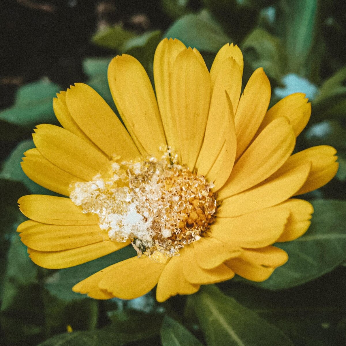 фото из личного архива.