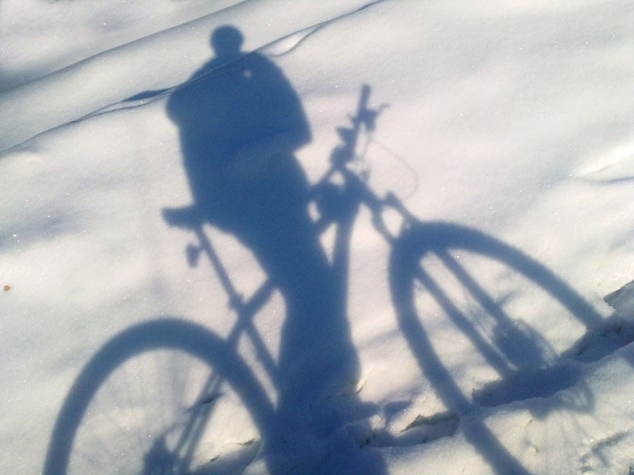 Фото из сети