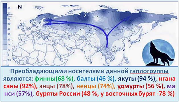 A b c map. Миграция гаплогруппы n1c1. Гаплогруппа n1c1. Гаплогруппы народов n1c1. Карта гаплогруппы n1c.