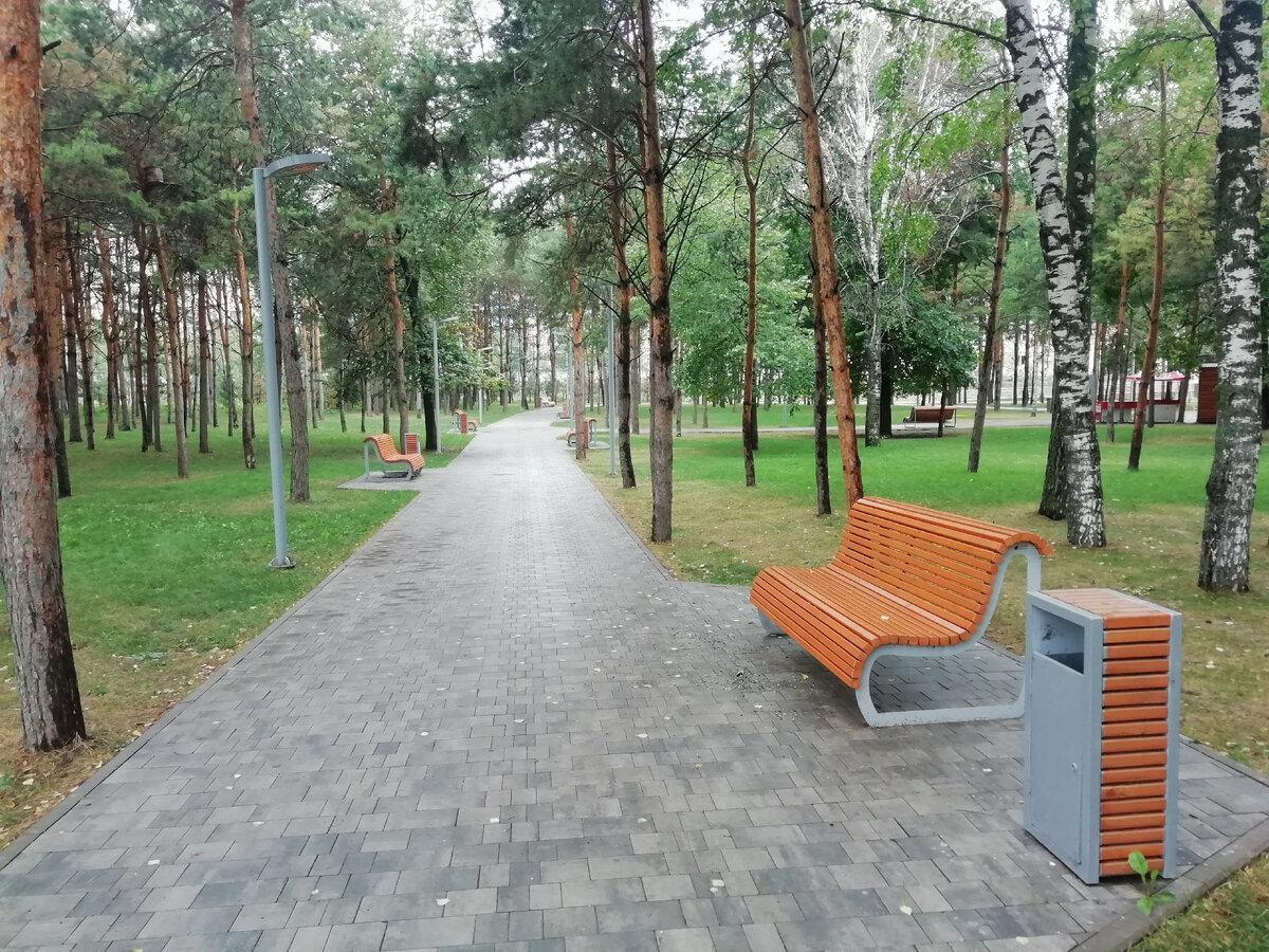 Хорошо в парке, спокойно. Утренние прогулки приводят мысли в порядок