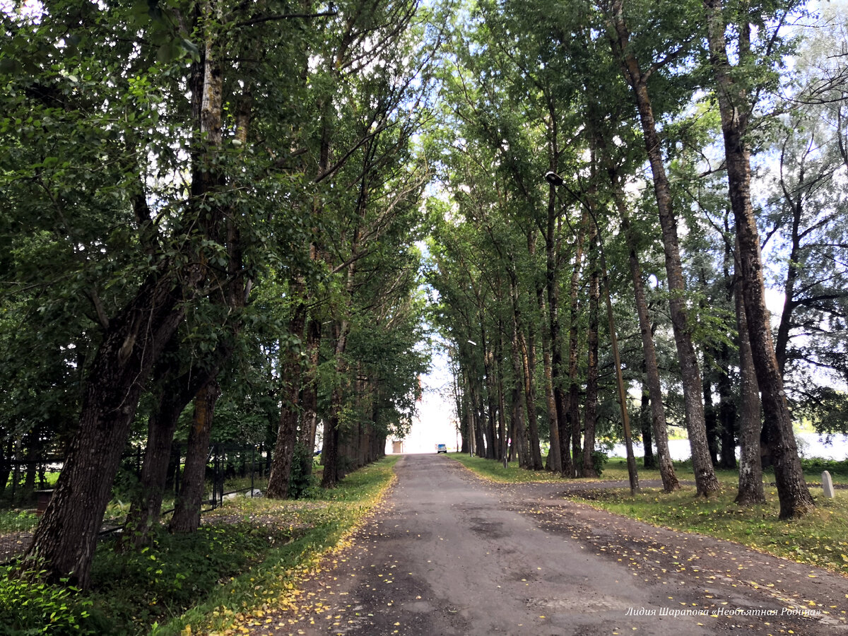 В пригороде Петербурга накупила на 1000 рублей морских деликатесов, но  готовка оказалась не для слабонервных | Необъятная Родина с Лидией  Шараповой | Дзен