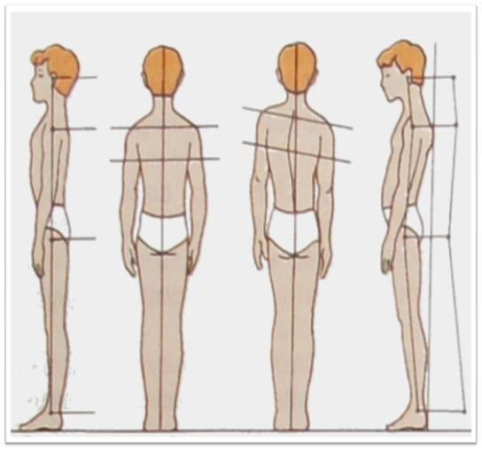 Источник: https://infourok.ru/issledovatelskaya-rabota-po-fizkulture-na-temu-formirovanie-osanki-shkolnikov-1820544.html