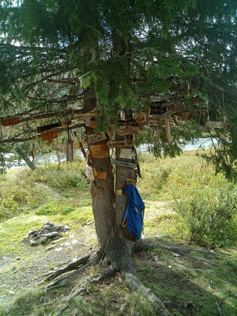 Оставь память