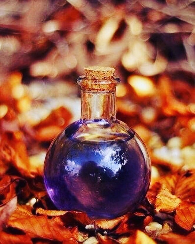 Изображение взято в Яндекс. Картинки