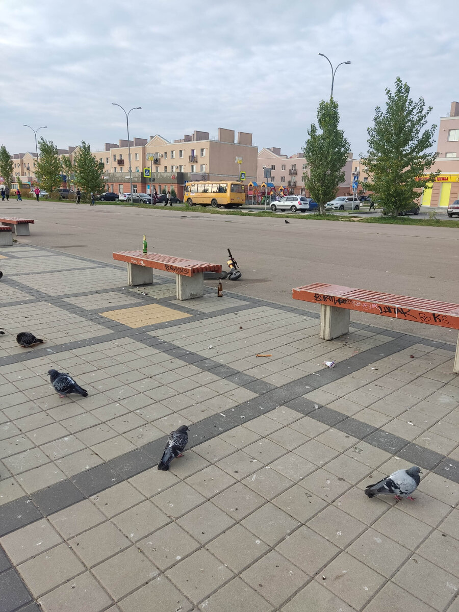 Так самокаты и ночуют, среди голубей и пивных бутылок.