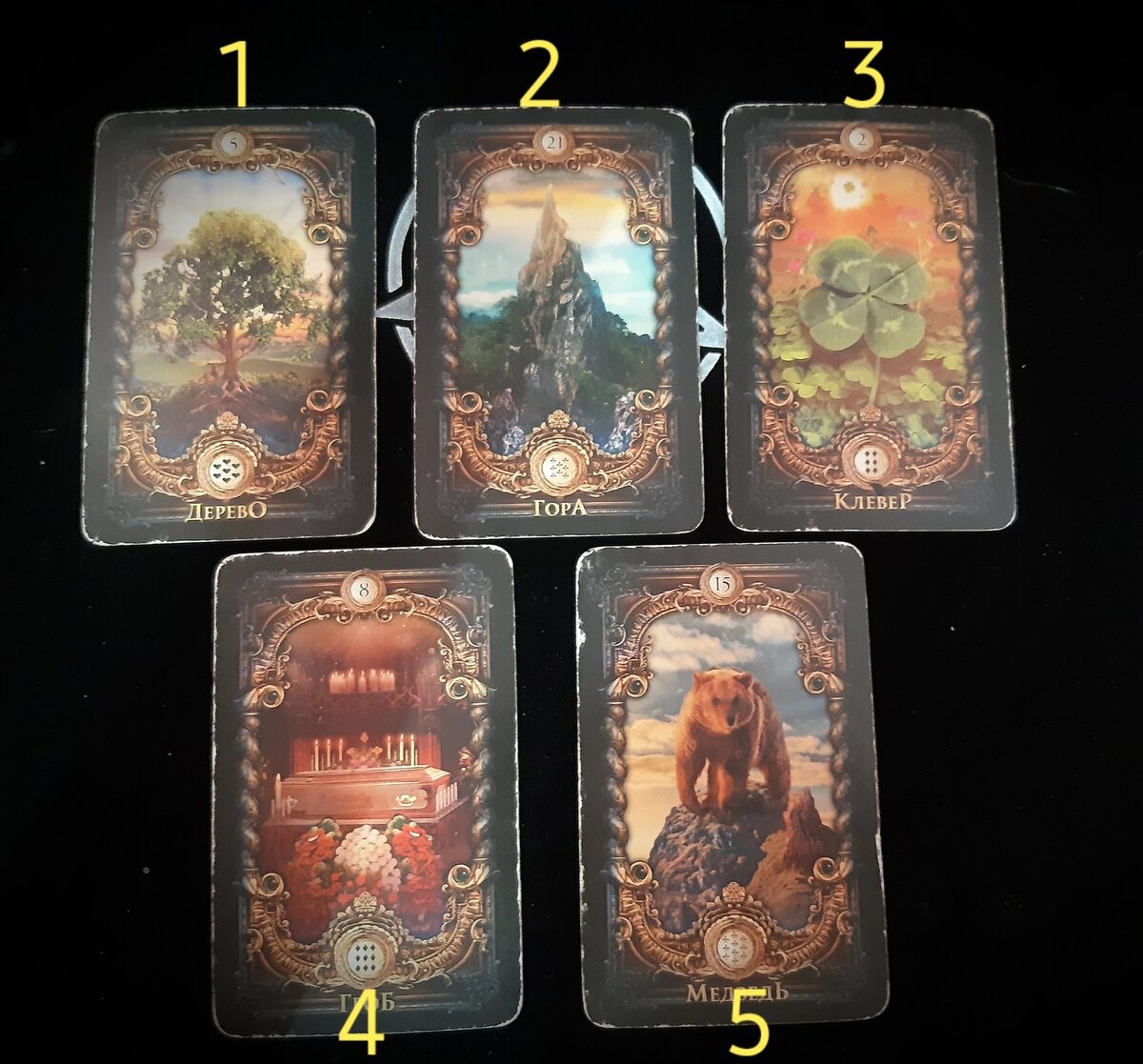 фото автора