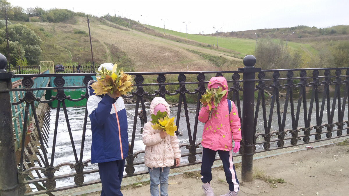 Турнир по собиранию самого большого гербария
