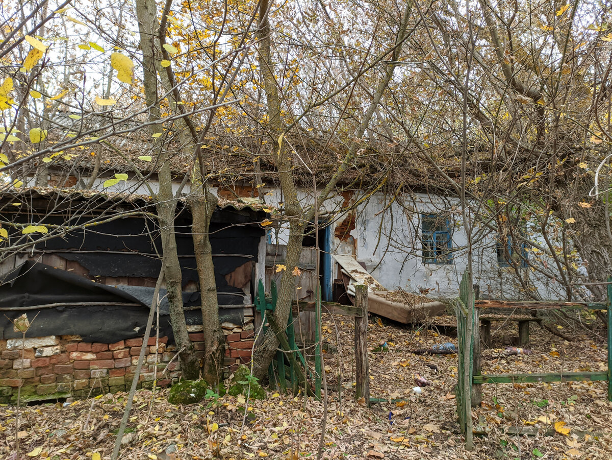 В соседнем доме многодетной семьи остались старые вещи от прежних хозяев.  Показываем, что мы там увидели | МИР ПРОШЛОГО | Дзен